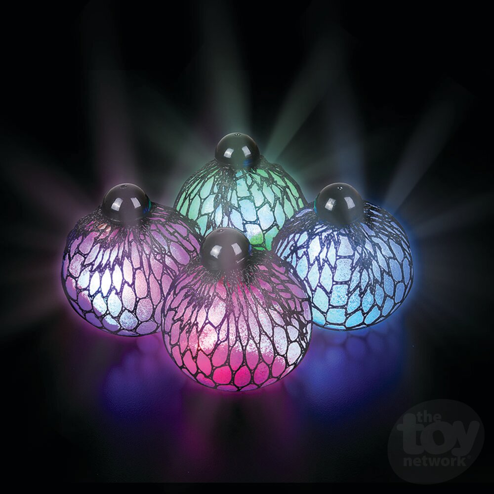 Light Up Mesh Ball