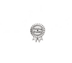 Load image into Gallery viewer, Lapel Pin - Mom, Grandma
