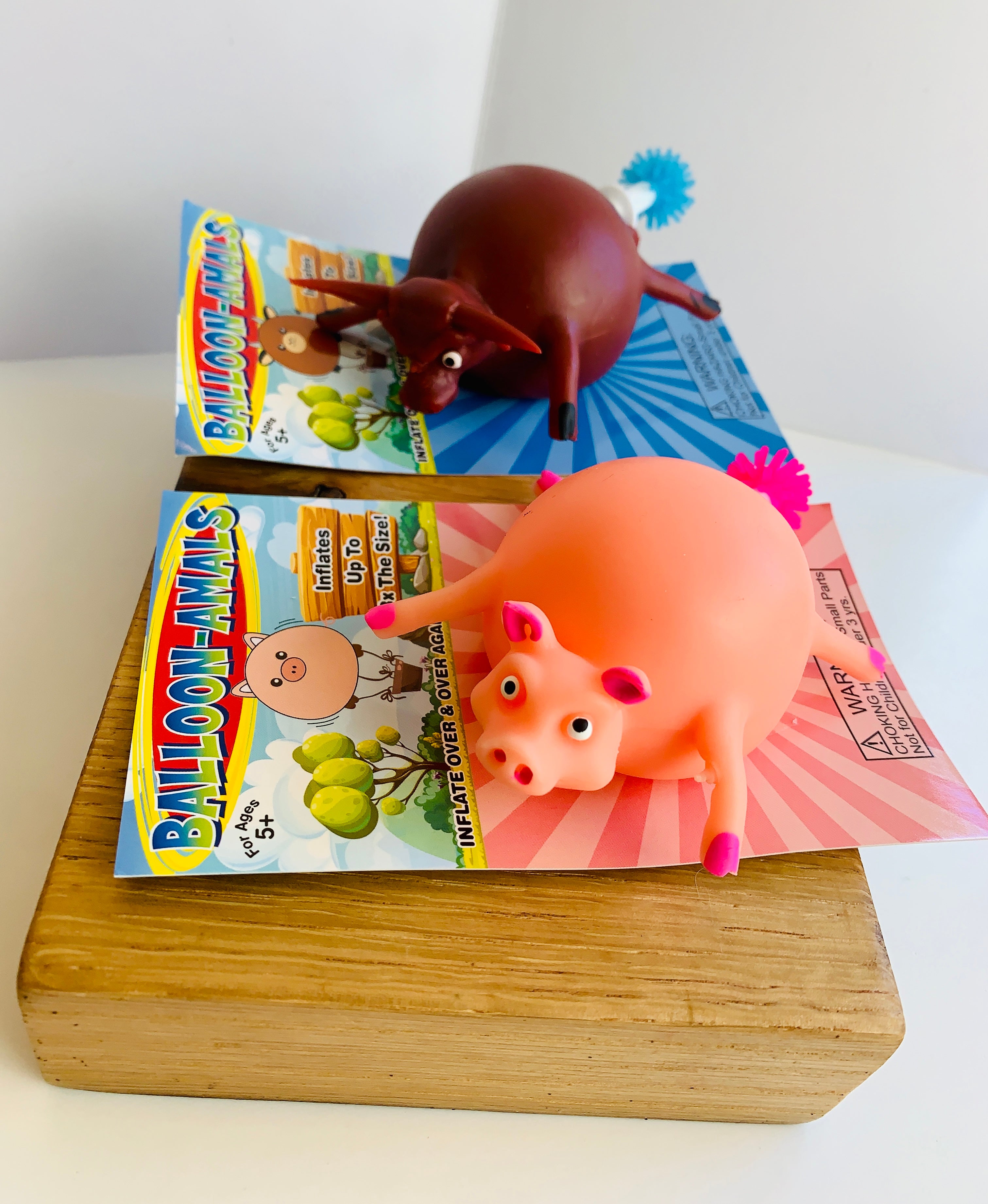 Balloon Animals