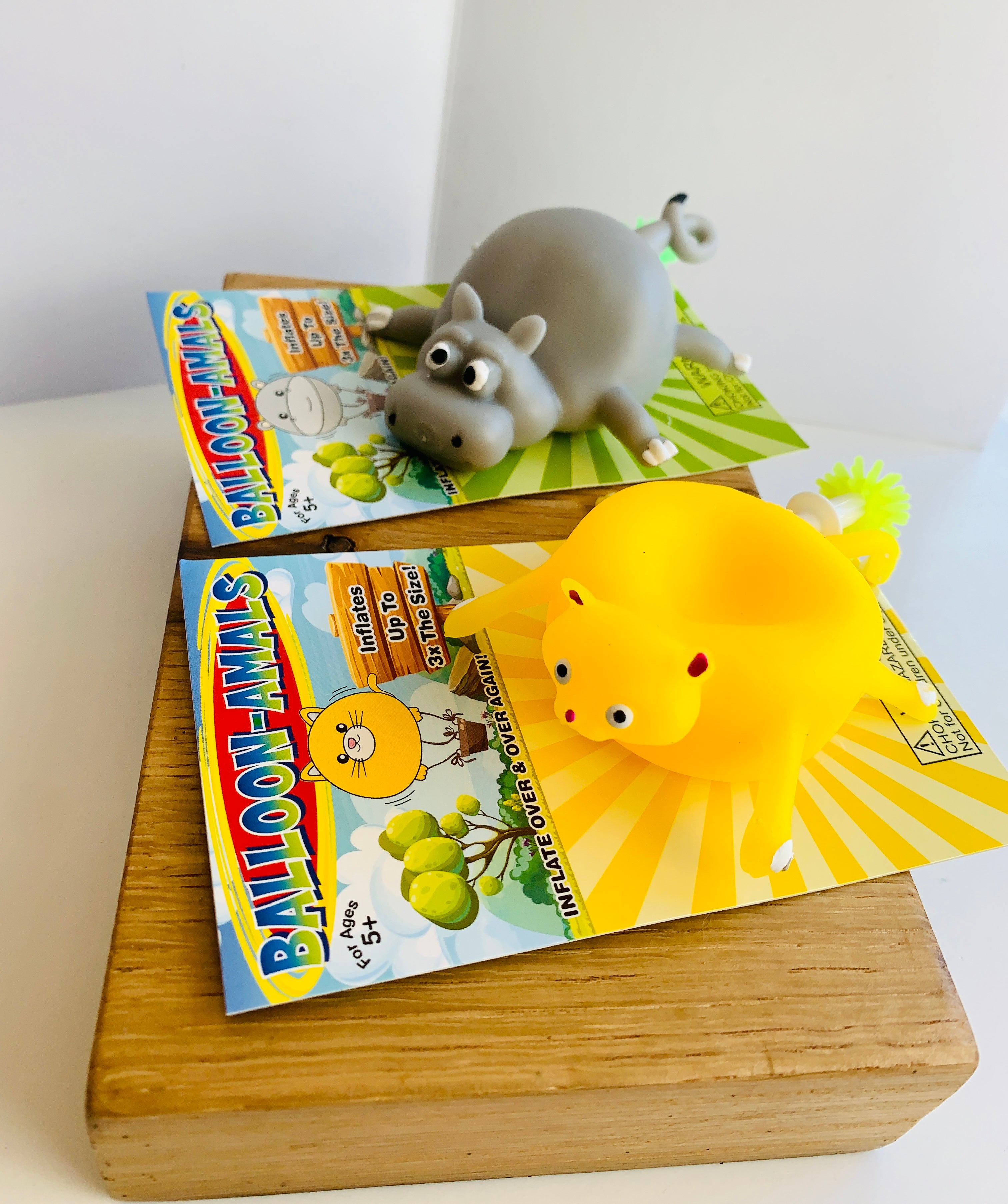 Balloon Animals
