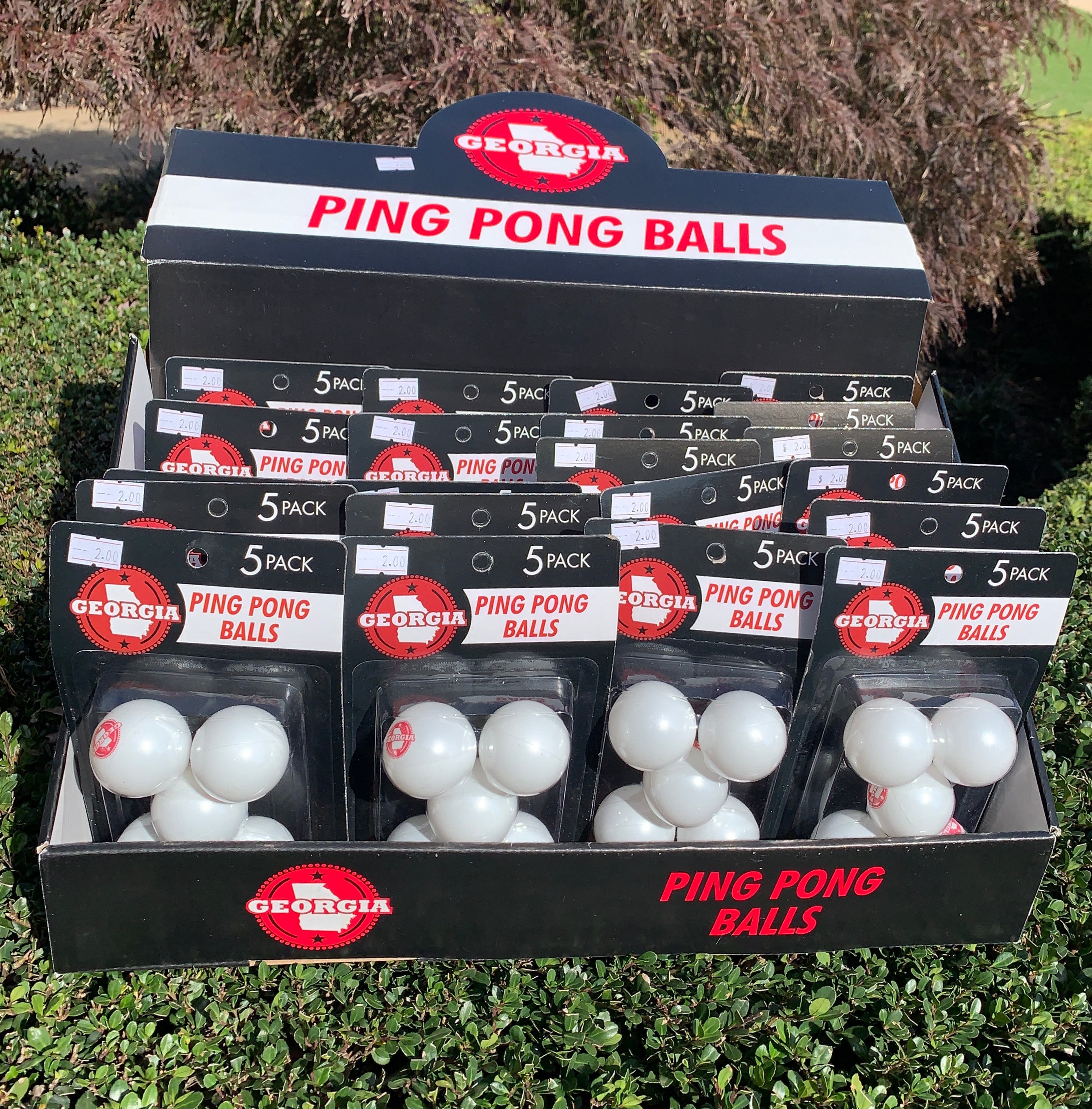 Georgia Ping Pong Balls